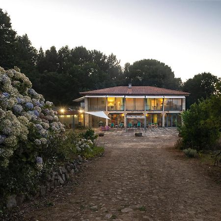 Braga House & Wine Villa Buitenkant foto