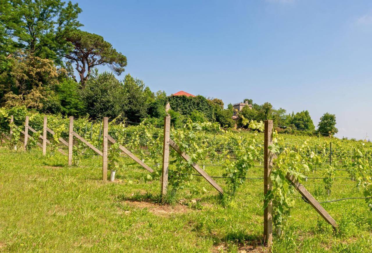 Braga House & Wine Villa Buitenkant foto